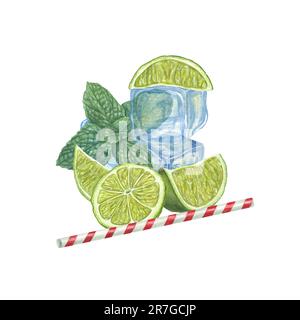 Fettine di lime mature, menta fresca, cubetti di ghiaccio e cannuccia da bere isolata su fondo bianco. Illustrazione in acquerello per la progettazione di schede, volantini, poster Foto Stock