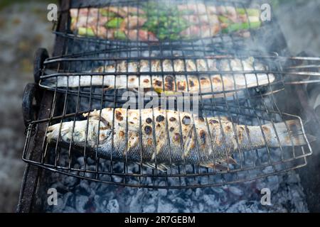 Grigliare pesce persico e asparagi alla griglia. Estate sul cortile. Fotografia di cibo Foto Stock