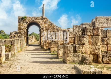 Rovine dell'antico ippodromo romano, sito archeologico di al-Bass, Tiro, Libano Foto Stock