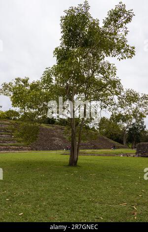 La zona archeologica del Tajin a Papantla, Veracruz, Messico Foto Stock