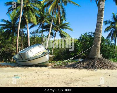 Vecchia barca sotto la palma sulla spiaggia di Portland Roads, Queensland, Australia. Foto Stock