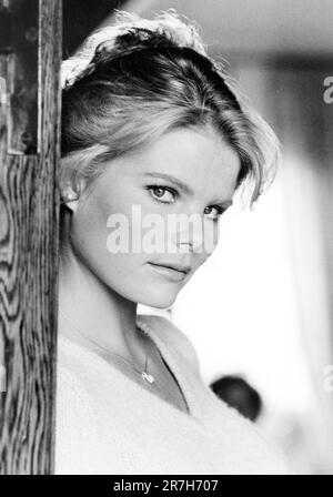 Mariel Hemingway, testa e spalle Ritratto pubblicitario per il film, 'Star 80', Warner Bros., 1983 Foto Stock