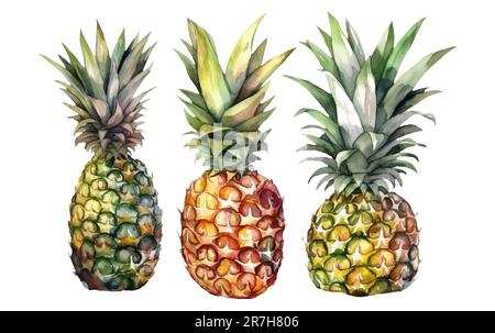 impostare l'illustrazione vettoriale a colori dell'ananas maturo isolato su sfondo bianco Illustrazione Vettoriale