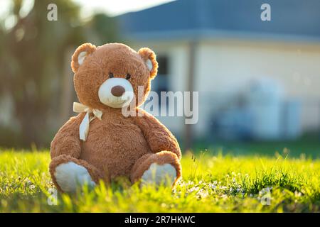 Grande peluche orsacchiotto seduto da solo sul prato verde in estate. Concetto di infanzia. Foto Stock