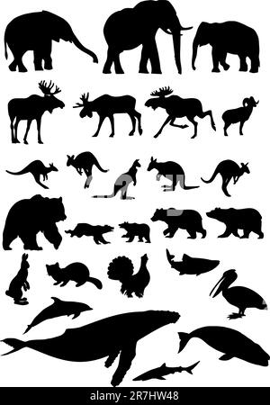Collezione di silhouette animali. Illustrazione Vettoriale