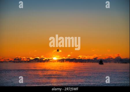 Un fumo di mare vola sul Tamigi con uno sfondo dorato al tramonto Foto Stock