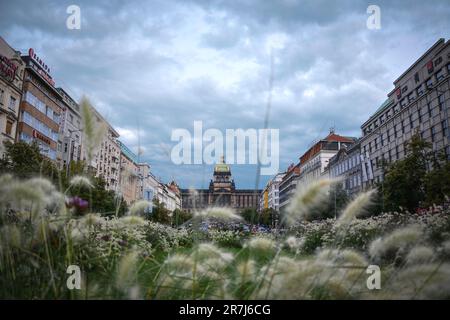 La bellissima Piazza Venceslao nella città nuova di Praga Foto Stock