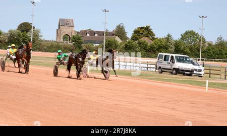 Il suo giorno di gara all'Ippodromo di Graignes, Graignes-Mesnil-Angot, basse-Normandie, Francia, Europa durante la lunga estate calda del 2022 Foto Stock