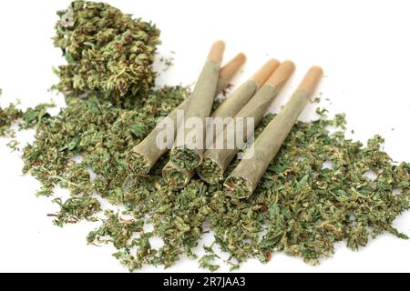 Marijuana pre-arrotolata insieme alle gemme di cannabis tritate su sfondo bianco Foto Stock