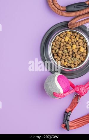 Cane piombo, giocattolo e cibo secco sul tavolo viola. Vista dall'alto. Foto Stock