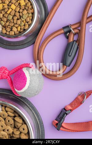 Cane piombo, giocattolo e cibo secco sul tavolo viola. Vista dall'alto. Foto Stock