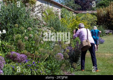 Visitatore che scatta una fotografia al confine erbaceo nei terreni di Houghton Lodge, Houghton, Test Valley, Hampshire, Inghilterra, REGNO UNITO Foto Stock