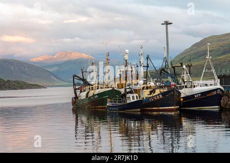 Pescherecci da traino ancorati alla luce serale, Loch Groom, Ullapool, Ross e Cromarty, Scozia, Regno Unito, Gran Bretagna Foto Stock