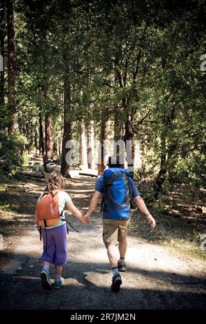Un padre e una figlia hanno le mani che camminano a Yosemite Foto Stock