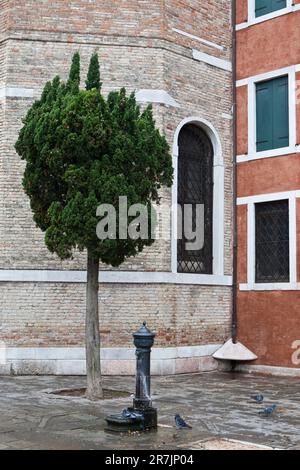 Dettagli architettonici a Venezia. Foto Stock