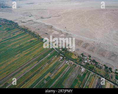 Veduta aerea di Egypts Rurale vasto terreno agricolo con irrigazione in t Foto Stock