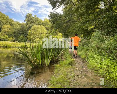 Ragazzi che camminano lungo il sentiero con canna da pesca vicino al lago. Foto Stock