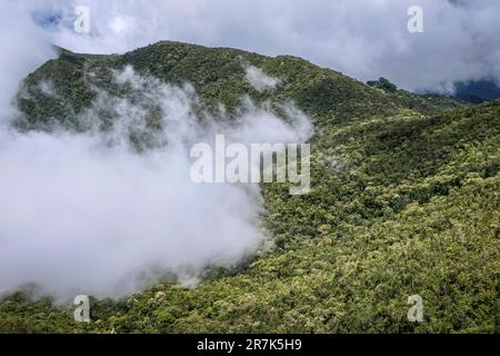 Nuvole che si affacciano sulle lussureggianti montagne della foresta pluviale atlantica nella Serra da Mantiqueira (catena montuosa di Mantiqueira), Itatiaia, Brasile Foto Stock