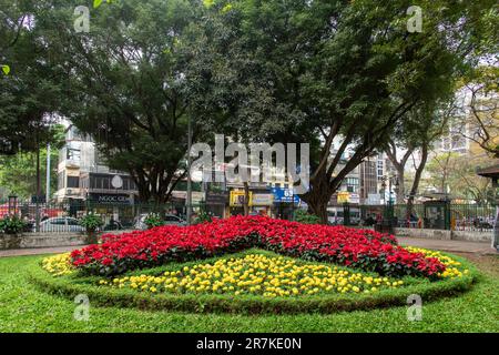 Hanoi, Vietnam-Aprile 2023; nuovo letto di fiori nel Tempio della Letteratura dedicato a Confucio e all'Accademia Imperiale Foto Stock
