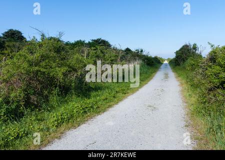 Shell path a Kwade Hoek in primavera Foto Stock