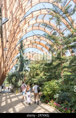 Persone che camminano nel giardino d'inverno di Sheffield, South Yorkshire, Inghilterra, Regno Unito Foto Stock
