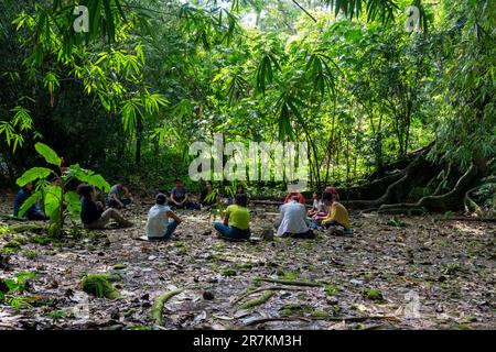 gruppo di persone che praticano il benessere nella foresta amazzonica Foto Stock