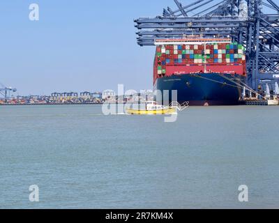 Felixstowe, Suffolk - 16 giugno 2023 : piccolo traghetto giallo del porto, tardato da gru e navi portacontainer nel porto di Harwich. Foto Stock