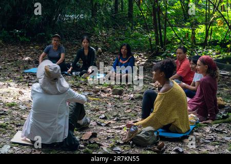 gruppo di persone che praticano il benessere nella foresta amazzonica Foto Stock