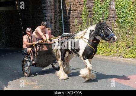 Persone in una carrozza trainata da cavalli all'Appleby Horse Fair, Appleby-in-Westmorland, Regno Unito. Foto Stock