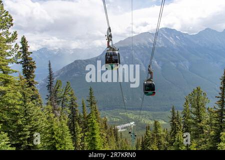 Banff, AB, Canada-Agosto 2022; Vista ad angolo alto nella valle con un certo numero di gondole o funivie di Banff Gondola tra abeti con il mou Foto Stock