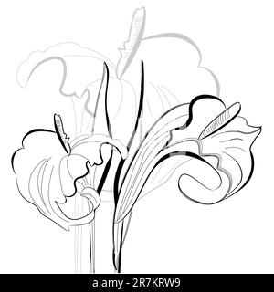 Illustrazione monocromatica con fiori di gigli di calla Illustrazione Vettoriale