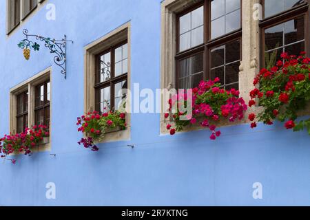 Finestre casa con fiori, Germania. Foto Stock