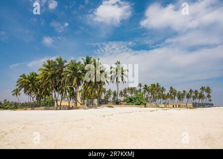 Spiaggia di al Haffa a Salalah, governatorato di Dhofar, Oman. Foto Stock