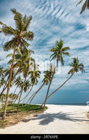 Spiaggia di al Haffa, spiaggia di sabbia bianca a Salalah, governatorato di Dhofar, Oman. Foto Stock