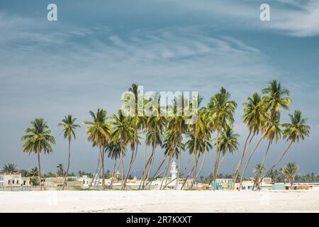 Spiaggia di al Haffa a Salalah, governatorato di Dhofar, Oman. Foto Stock