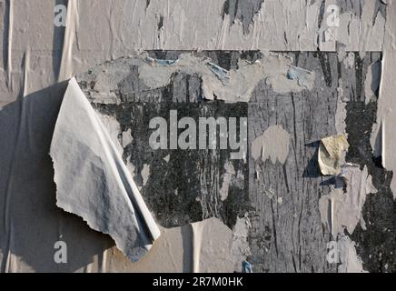 strappati strati di carta per poster sulla parete Foto Stock