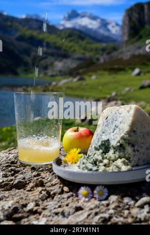 Versando in un bicchiere di sidro asturiano naturale a base di mele fermentate, il cabrales asturiano è un formaggio di mucca azzurra con vista sui laghi di Covadonga e sulle cime del Pico Foto Stock