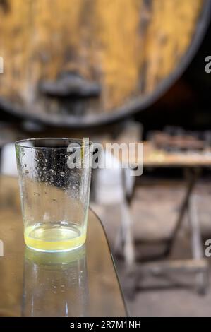 La degustazione del sidro naturale tradizionale asturiano fatto da mele fermentate in botti per diversi mesi va versata da grande altezza, permettendo lo Foto Stock