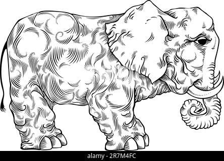 Disegno in bianco e nero con elefante. Illustrazione di animali Vector vintage. Illustrazione Vettoriale