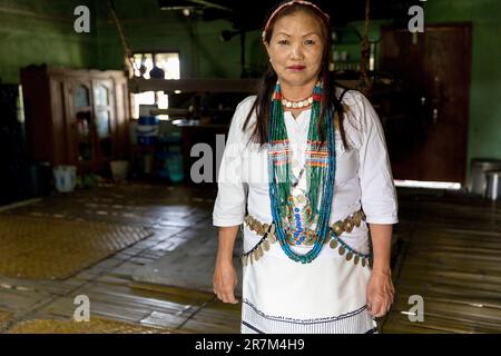 Donna della tribù Galo che svezza abiti bianchi tradizionali e gioielli nella sua casa, Assam, India nord-orientale Foto Stock