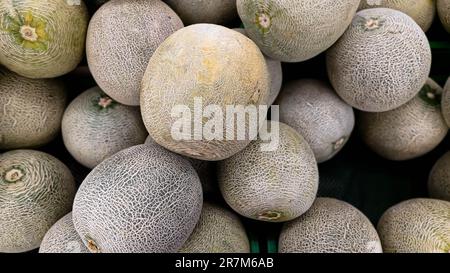 Un gruppo di meloni o cantaloupe in una scatola. Meloni sfondo in una scatola Foto Stock