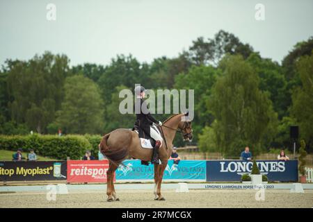 16 giugno 2023, bassa Sassonia, Luhmühlen: Sport equestre/Eventing: Campionato tedesco, Dressage, Gruppo 2. Il pilota britannico Will Rawlin si alza con il suo cavallo 'il Partner' nell'arena di dressage. Foto: Gregor Fischer/dpa Foto Stock