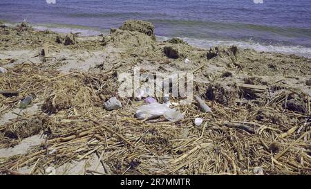 Plastica e altri detriti di deriva ha raggiunto le spiagge del Mar Nero a Odessa, Ucraina. Disastro ambientale causato dall'esplosione di Kakhovka Hydroel Foto Stock