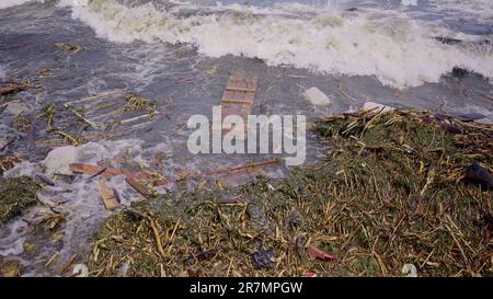 Odessa, Ucraina. 16th giugno, 2023. Un primo piano di detriti galleggianti ha raggiunto le spiagge del Mar Nero a Odessa, Ucraina. Disastro ambientale causato dall'esplosione della diga della centrale idroelettrica di Kakhovka (Credit Image: © Andrey Nekrasov/ZUMA Press Wire) SOLO USO EDITORIALE! Non per USO commerciale! Foto Stock