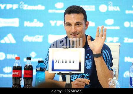 Leonel Scaloni allenatore argentino Foto Stock