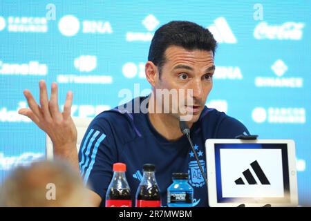 Leonel Scaloni allenatore argentino Foto Stock