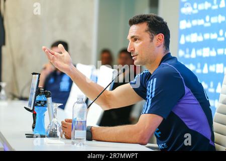 Leonel Scaloni Argentino DT Foto Stock