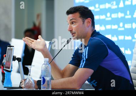 Leonel Scaloni Argentino DT Foto Stock