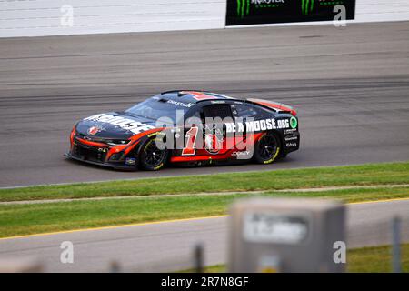 Madison, il USA - 4 giugno 2023: World Wide Technology Raceway, NASCAR, 'Godetevi l'Illinois 300' Ross Chastain Foto Stock