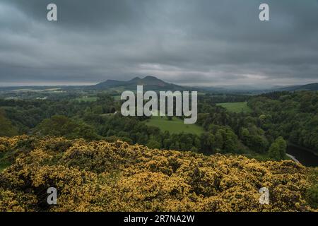 Confini scozzesi visti dalla vista Scotts. Foto Stock